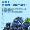 KirkLand Large Whole Dried Blueberries 567g Imported Pregnant Women Snacks New Year's Gift Pack Costco Kirkland Sam