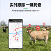 TUQIANG solar pet cattle and sheep GPS locator anti-lost tracker mountain animal husbandry movement tracking and positioning artifact