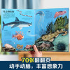 18 yuan off for orders over 87. Reveal the Ocean (Children’s Popular Science Flip Book for 3-6 Years Old) Reveal Series of Children’s Enlightenment Popular Science Pop-up Books, Le Fun Children’s Books, Children’s Science Popular Science Children’s Book Festival Children’s Money Saving Card