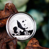 2016 Panda 30g Silver Coin