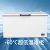 AUCMA household small ultra-low temperature freezer-60 degree deep cooling quick freezing commercial large capacity copper tube horizontal single temperature high-end seafood storage freezer DW/BD-60W192HE DW/BD-60W420HE