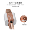 Newmine MC10 Wireless Microphone, Karaoke Microphone and Audio All-in-one Comes with Sound Card, Radio Microphone, Little Bee Amplifier Explainer, Bluetooth Singing Entertainment Artifact, Rose Gold