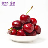 JOYVIO Chilean Cherries Big Mac 3J Grade 2.5kg Gift Box Fruit Diameter Approximately 30-32mm Straight from the Source Free Shipping