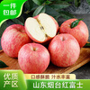 Jingxiansheng Shandong Yantai Red Fuji Apple, net weight 5 pounds, fruit diameter 80mm+, fresh fruit, straight from the source