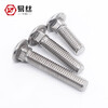 Yisi 304 stainless steel carriage screw large head screw semi-round head square neck bolt shelf screw M6M8M10M12 M6*50 (2 pieces) full teeth