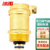 Bingyu JT-1104 exhaust valve (type B) automatic exhaust valve release valve DN20