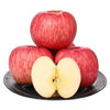 Jingmi Luochuan Red Fuji Apple 6 pieces 170g + Shaanxi fresh fruits in season, straight from the source