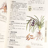 The Five Great Classics of Traditional Chinese Medicine: Qian Jin Fang + Compendium of Materia Medica + Huang Di Nei Jing + Tangtou Ge Jue + Shen Nong's Materia Medica (set of 5 volumes in total, cloth-covered and hardcover), a complete collection of family Chinese medicine health books, a complete medical book, and a zero-basic introduction to self-study of Chinese medicine knowledge.