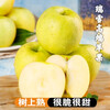 Sweet Alliance Shaanxi Baishui Ruixue Apple, next-day delivery in multiple regions, fresh and crisp pure sweet green apple gift box with rose fragrance, 9 pieces of fruit king (single 85mm-90mm), upgraded gift box version, the most cost-effective