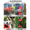 MCCOPER electric pruning scissors garden rechargeable fruit tree pruning branch scissors high-power lithium battery pruning artifact wireless 4.0cm lithium battery pruning shears (two batteries) working 6 hours + SK5 blade