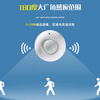 Tianshili ceiling-mounted intelligent human body sensor switch infrared human body sensor controller adjustable delay timing switch ceiling-mounted sensor switch