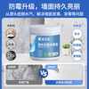 Carbaoli wall repair paste anti-mildew and antibacterial wall repair paste white wall decontamination repair putty powder paste wall peeling waterproof 1kg