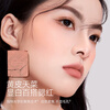 Carslan Ten-Color Eyeshadow Palette Multi-purpose Eyeshadow Blush Highlight Nose Shadow Palette 03#18g New Year's Gift for Girlfriend