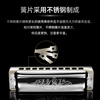 SEYDEL Germany SEYDEL ten-hole blues harmonica 1847L lightning beginner advanced professional 10-hole B flat