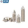 Guwanji iron nickel-plated cross tip set screw stop-pay headless machine meter screw cone end top wire national standard fasteners M2x4 (500 pieces)