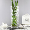 Stone tree rich bamboo vase transparent glass vase large hydroponic lily dried flower arrangement living room decoration 30 thick crystal cabbage