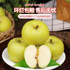 Sweet Alliance Shaanxi Baishui Ruixue Apple, next-day delivery in multiple regions, fresh and crisp pure sweet green apple gift box with rose fragrance, 9 pieces of fruit king (single 85mm-90mm), upgraded gift box version, the most cost-effective