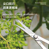 Taipeng grape pruning special scissors for fruit thinning, pruning, pepper picking, fruit and vegetable scissors, orange picking and loquat scissors, 2111 powerful floral scissors