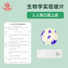 Junior high school biology synchronous teaching experiment observation slide specimen is clear and easy to observe mold slide human blood smear human blood smear onion scale leaf epidermis mount