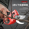 Delixi Electric brushless electric scissors for branch cutting, gardening lithium battery rechargeable garden pruning shears, fruit tree scissors, electric agricultural tools, brushless Pruning King 4.0AH flagship model 2 electric 2 blades