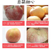 Longduoxian Authentic Xinjiang Rock Candy Heart Apple Fuji Apple Fresh Fruit Seasonal Whole Box Picked Ugly Apple Whole Box 5 Jin Selection Single Fruit 65-75MM Net 4.5 Jin