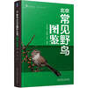 Illustrated guide of common wild birds in Beijing
