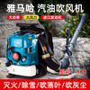 Ha engine snow blower high power gasoline hair dryer backpack wind fire extinguisher falling engine 1