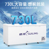 Suiling Freezer Commercial Freezer Horizontal Large Capacity Stainless Steel Liner Freezer Freezer Refrigeration Convertible Single Temperature Freezer Quick Freeze Low Temperature Refrigerator Commercial Freezer -30 Cryogenic Stainless Steel Liner BD-730