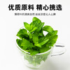 Zhaifuyi Mint Powder Edible Drink Baking Ingredients Homemade Summer Cool Drink Dry Mint Powder 130g
