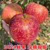 Jingmi Sichuan Daliangshan Ugly Apple, 8 pounds net, single fruit 85mm+, fresh fruit rock candy heart apple, straight from the source