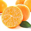 The whole box of Ehime jelly orange is about 2.5kg (weighing allowance)