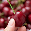 Detective Freshman imported large cherries from Chile, next-day delivery to multiple locations, fresh fruit optional gift box, 2000g (net weight), hand-selected fruit J 26-28mm, 5kg box, gift box