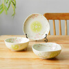 Mino Yaki Japan imported household ceramic bowl set simple dinner plate Japanese tableware fruit plate dish 10-piece set