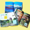 National Geographic Children's Encyclopedia (set of 12 volumes in total) summer reading, summer extracurricular books, extracurricular independent reading in summer, summer vacation readings, summer homework, summer transition from primary school to junior high school, summer transition from primary school to junior high school