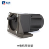 Yue Changsheng 40W220V AC reduction motor 4RK40RGN reversible speed motor high torque metal gearbox motor motor + gearbox 4GN20K (0-62 revolutions per minute 40W motor + speed regulator