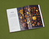 Princeton University Biological Illustrated Fungi (China National Geographic Books, the master of the hidden world, identification of strange organisms. Get close to the hidden fungal family, and perceive the interconnected relationship between life on earth. Free 4 fungi science postcards)
