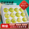 Sweet Alliance Shaanxi Baishui Ruixue Apple, next-day delivery in multiple regions, fresh and crisp pure sweet green apple gift box with rose fragrance, 9 pieces of fruit king (single 85mm-90mm), upgraded gift box version, the most cost-effective