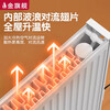 Gold Flagship Steel Plate Electric Radiator Home Water Injection Energy Saving Energy Saving Add Water Electric Heater Electric Water Heating Heater Water Injection Remote Control Model 2000W 600mm*0 Column 0.6m