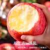 Jingdida Apple Yantai Apple Red Fuji Apple Fresh Fruit New Year Gift 8.5 Jin Single Fruit 80mm+ Straight from the Source