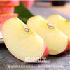 Jingdida Apple Yantai Apple Red Fuji Apple Fresh Fruit New Year Gift 8.5 Jin Single Fruit 80mm+ Straight from the Source