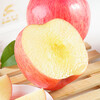 Jingmi Luochuan Red Fuji Apple 6 pieces 170g + Shaanxi fresh fruits in season, straight from the source