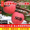 Muke Henan Lingbao Apple Temple Heshan natural selenium-rich apple SOD apple red Fuji fresh fruit New Year gift box without sod characters 80-85mm 15 pieces gift box shipped directly from the place of origin with SF Express free shipping