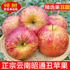 Jingxijia authentic Zhaotong rock candy heart apples are crisp, sweet and juicy. The whole box is 2 pounds of A+ grade medium fruit. The fruit diameter is 70-75.