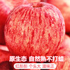 Jingdi Dalochuan Apple Fruit Shaanxi Red Fuji Festival Gift Net Weight 8.5 Jin Single Fruit 85mm + Direct Shipping from the Source