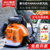 Ha engine snow blower high power gasoline hair dryer backpack wind fire extinguisher falling engine 1