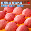 Jingdida Apple Yantai Apple Red Fuji Apple Fresh Fruit New Year Gift 8.5 Jin Single Fruit 80mm+ Straight from the Source