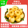 Jingxiansheng Shandong Venus apple net weight 4.5 catties single fruit 200g fresh fruit direct from the source with free shipping