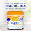 Bright AirAir Bright AIR solid air freshener & odor eliminator