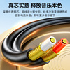 Jinghua 3.5mm to Dual Lotus 1/2 audio cable 2RCA red and white male-to-male connecting cable Mobile phone computer TV audio speaker amplifier conversion cable Black 3 meters A120H