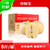 Beijing Fresh Shandong Cream Fuji Apple, net weight 8 pounds, single fruit 85-90mm, fresh fruit, direct shipping from the source, free shipping